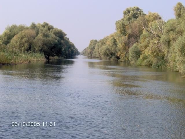 delta rosu 2005 - im000731.jpg